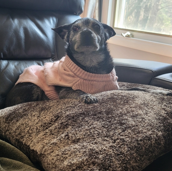 Meet your Posher, Melanie - Picture 3 of 7